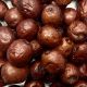 Jujube